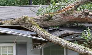 Roof Damaged due to Storm