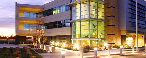 Los Angeles commercial insurance expert reviewing business interruption claim for full financial recovery