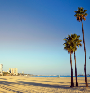 Public adjuster in Long Beach, CA helps maximize your insurance claim. Get expert assistance for a fair settlement.