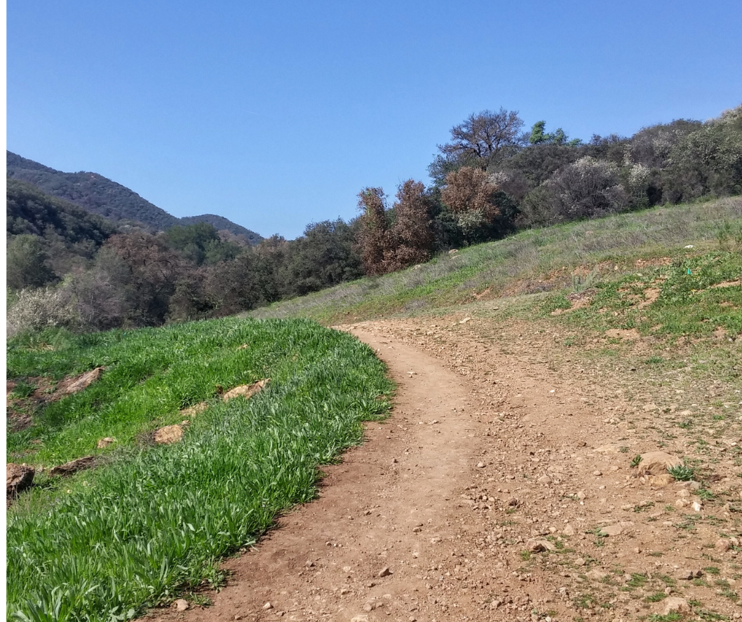 Paramount, California property requiring insurance claim assistance - no upfront cost public adjuster services available