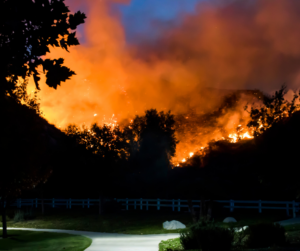 Fire damage in Pasadena? Our public adjusters fight for your full settlement—no upfront fees. Local experts. Learn more!