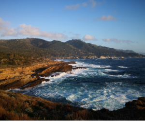 Public Adjuster in Hermosa Beach: Coastal property damage assessment in Hermosa Beach